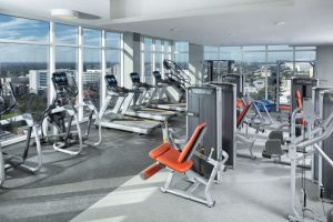 Month to month housing Saint Petersburg Florida